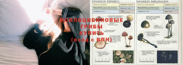 крисы Волосово