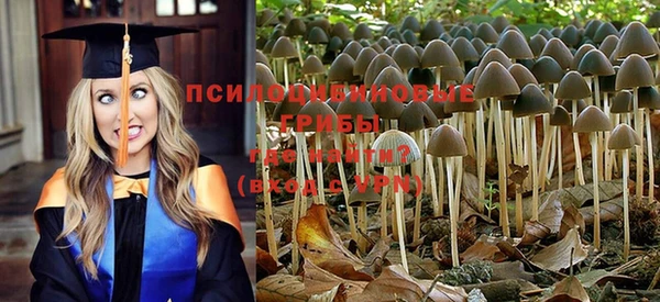 крисы Волосово