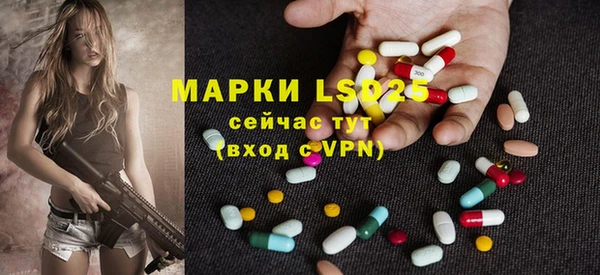 PSILOCYBIN Волоколамск