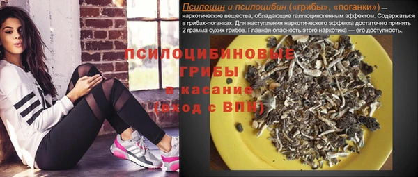 PSILOCYBIN Волоколамск