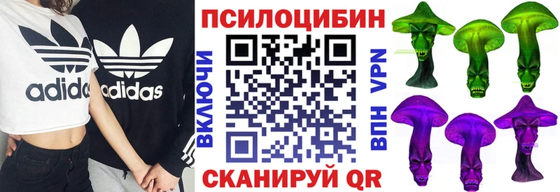 Псилоцибиновые грибы Magic Shrooms  Купить где  Клинцы 